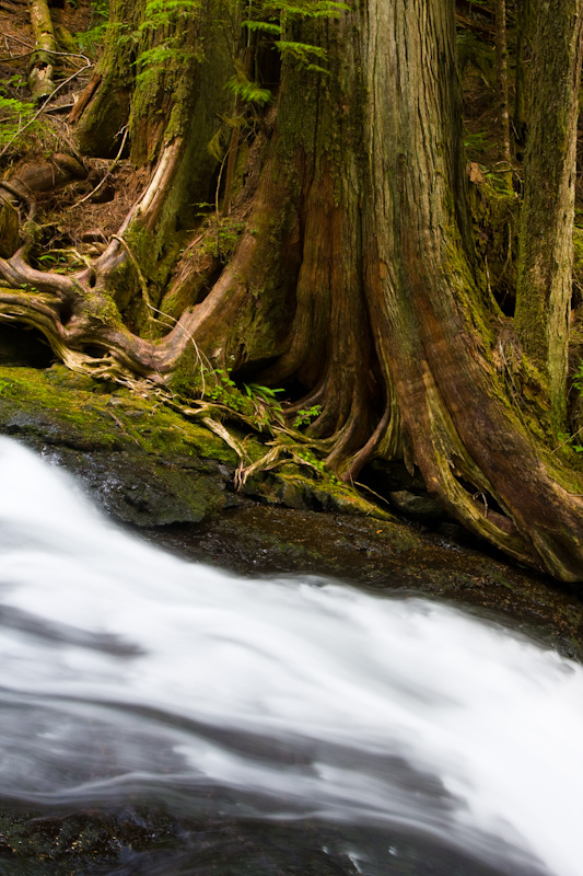 Cedar And Twenty-Two Creek